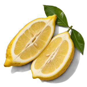 نت لیموی آمالفی (Amalfi Lemon)، رایحه مرکباتی عطر