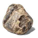 عنبر سائل