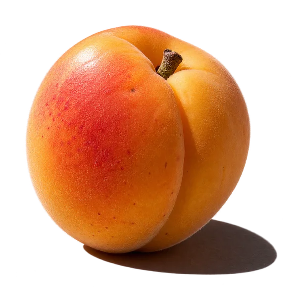 نت زردآلو (Apricot)، رایحه میوه‌ای عطر