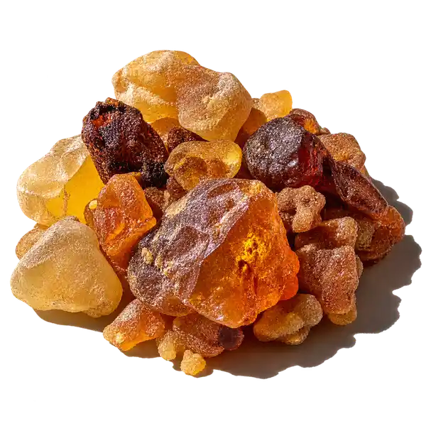 نت رزین‌های معطر (Aromatic Resins)، رایحه ادویه‌ای شرقی عطر