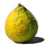 نت ترنج (برگاموت / Bergamot)، رایحه مرکباتی عطر