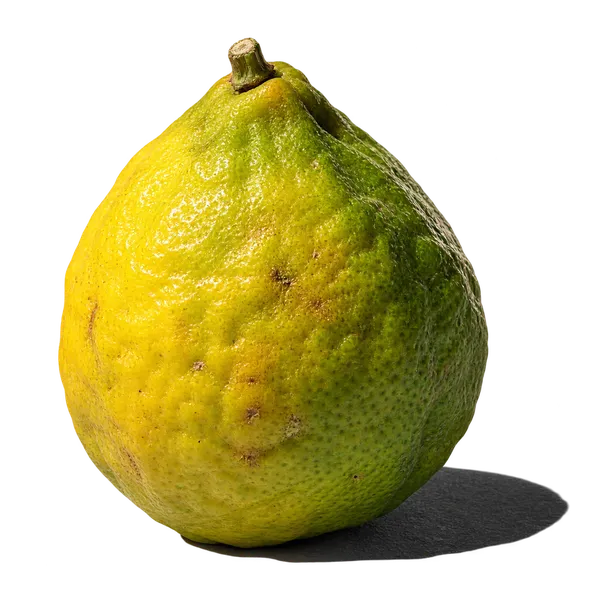 ترنج