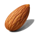 بادام تلخ