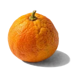 پرتقال