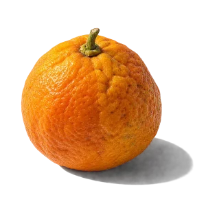 نت پرتقال تلخ (Bitter Orange)، رایحه مرکباتی عطر
