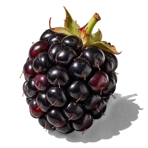 نت توت سیاه (Blackberry)، رایحه میوه‌ای عطر