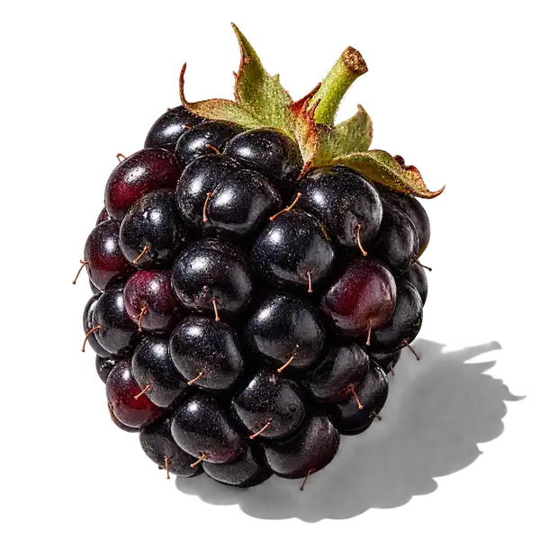 نت توت سیاه (Blackberry)، رایحه میوه‌ای عطر