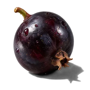 نت انگور فرنگی سیاه (بلک‌کارنت / Blackcurrant)، رایحه میوه‌ای عطر