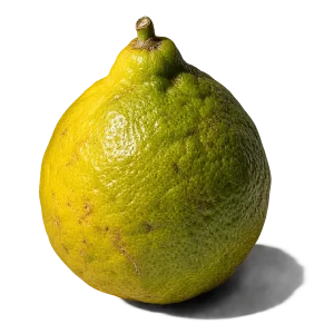 نت ترنج کالابریایی (برگاموت کالابریا / Calabrian Bergamot)، رایحه مرکباتی عطر
