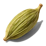 نت دانه هل (Cardamom)، رایحه ادویه‌ای شرقی عطر