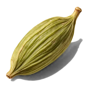 نت دانه هل (Cardamom)، رایحه ادویه‌ای شرقی عطر