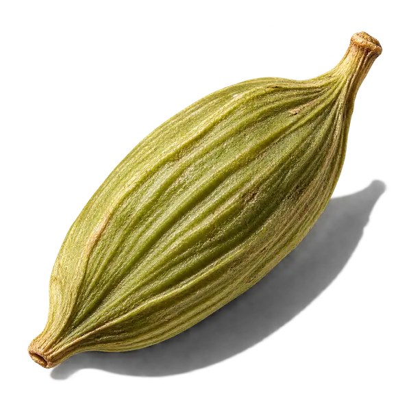 دانه هل