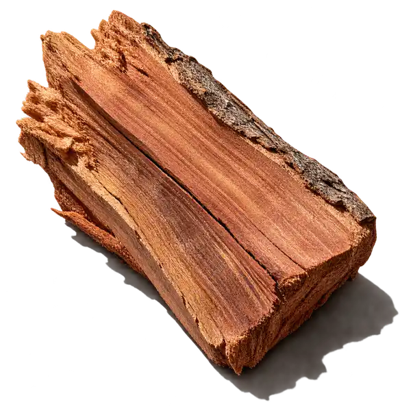 چوب سدر