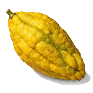 نت بالنگ (سیترون / Citron)، رایحه مرکباتی عطر