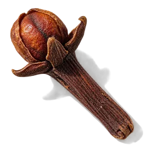 نت ادویه میخک (میخک / Clove)، رایحه ادویه‌ای شرقی عطر
