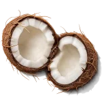 نارگیل