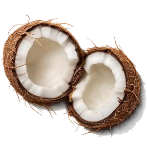 نت نارگیل (Coconut)، رایحه گورمند عطر