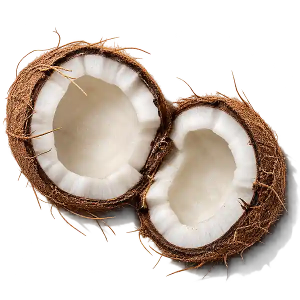 نت نارگیل (Coconut)، رایحه گورمند عطر