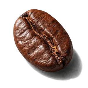 نت قهوه (Coffee)، رایحه گورمند عطر