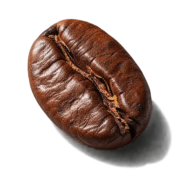 نت قهوه (Coffee)، رایحه گورمند عطر