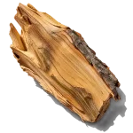 چوب سرو