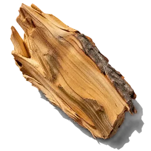 نت چوب سرو (Cypress)، رایحه چوبی عطر