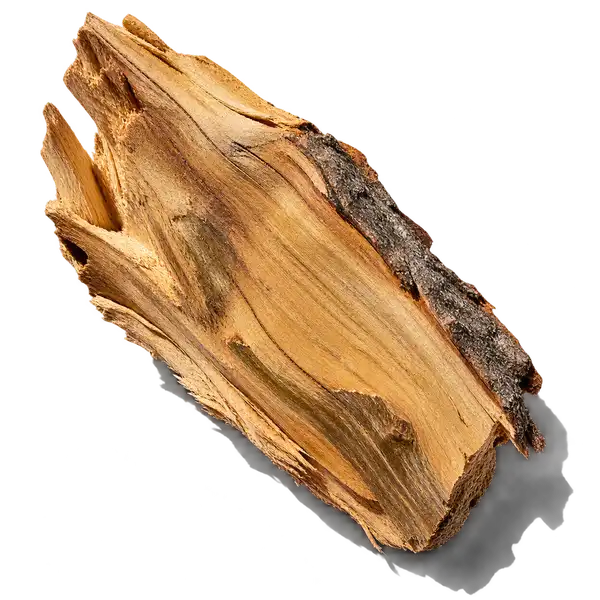 نت چوب سرو (Cypress)، رایحه چوبی عطر