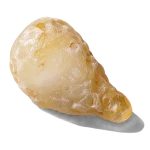 بخور معطر