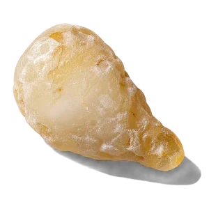 نت صمغ کندر (کندر / Frankincense)، رایحه ادویه‌ای شرقی عطر