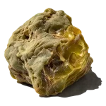 صمغ گالبانیوم
