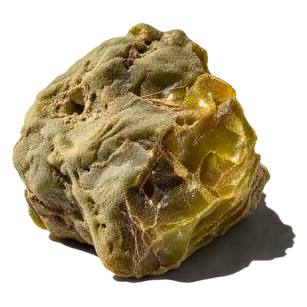 صمغ گالبانیوم