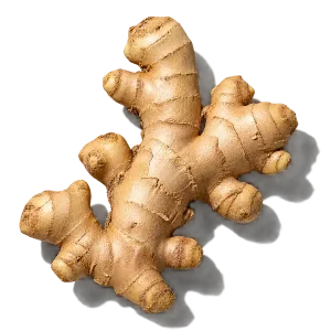 نت ریشه زنجبیل (Ginger)، رایحه ادویه‌ای شرقی عطر