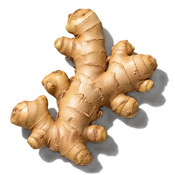 ریشه زنجبیل