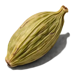 نت دانه هل گواتمالایی (Guatemalan Cardamom)، رایحه ادویه‌ای شرقی عطر