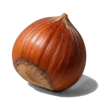 فندق
