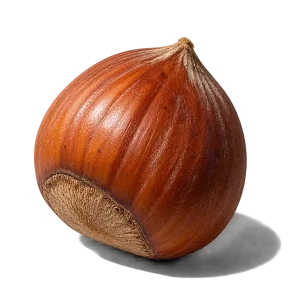 نت فندق (Hazelnut)، رایحه گورمند عطر