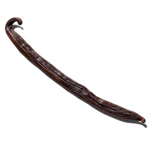 نت وانیل ماداگاسکار (Madagascar Vanilla)، رایحه گورمند عطر