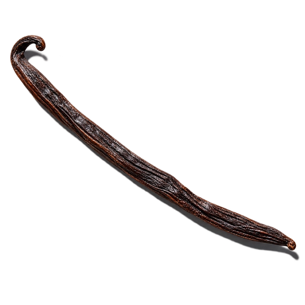 نت وانیل ماداگاسکار (Madagascar Vanilla)، رایحه گورمند عطر