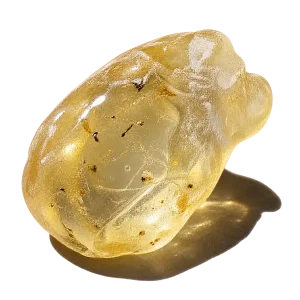 نت صمغ مصطکی (Mastic)، رایحه ادویه‌ای شرقی عطر