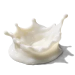 شیر
