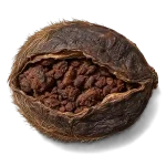مشک