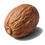 جوز هندی