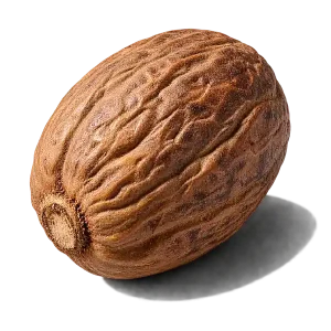 نت جوز هندی (Nutmeg)، رایحه ادویه‌ای شرقی عطر