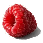 تمشک