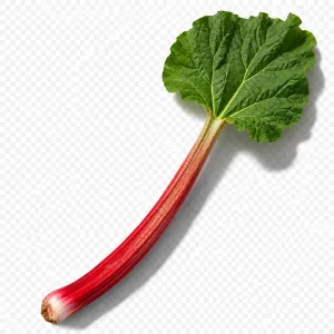 نت ریواس (Rhubarb)، رایحه میوه‌ای عطر