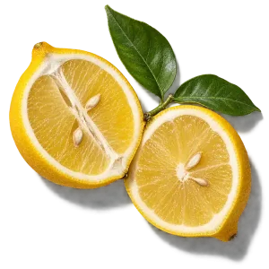 نت لیموی سیسیلی (Sicilian Lemon)، رایحه مرکباتی عطر