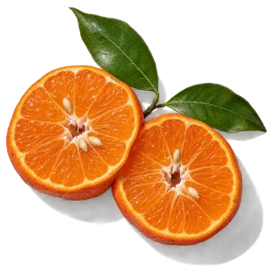 نت ماندارین سیسیلی (Sicilian Mandarin)، رایحه مرکباتی عطر