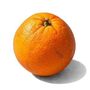 نت پرتقال سیسیلی (Sicilian Orange)، رایحه مرکباتی عطر