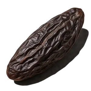 نت دانه تونکا (Tonka Bean)، رایحه فوژه عطر