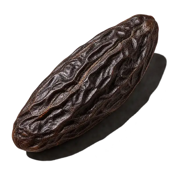 دانه تونکا